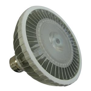 LED Par Lamp